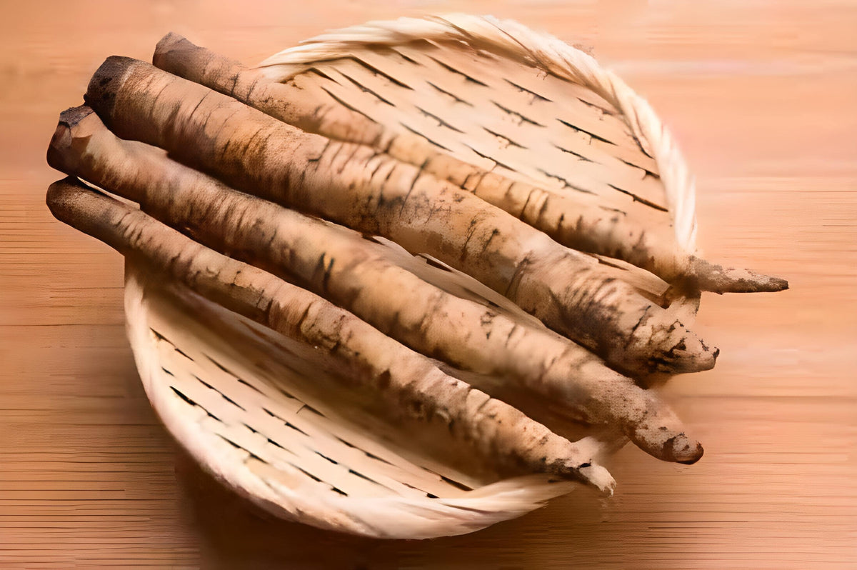Burdock roots