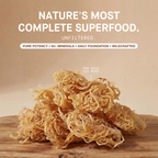 Raw Wildcrafted Sea Moss 4oz
