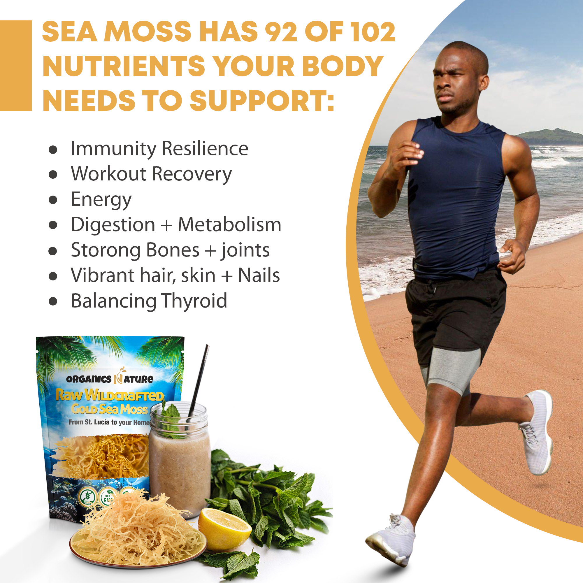 Raw Wildcrafted Sea Moss 4oz